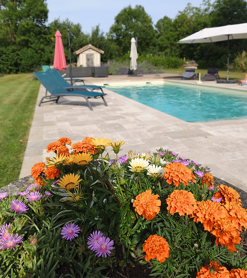 Private Swimming Pool with Colourful Flower Borders in South-West France_edited.png
