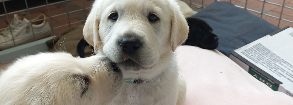 20211112_125001 LR_edited.jpg