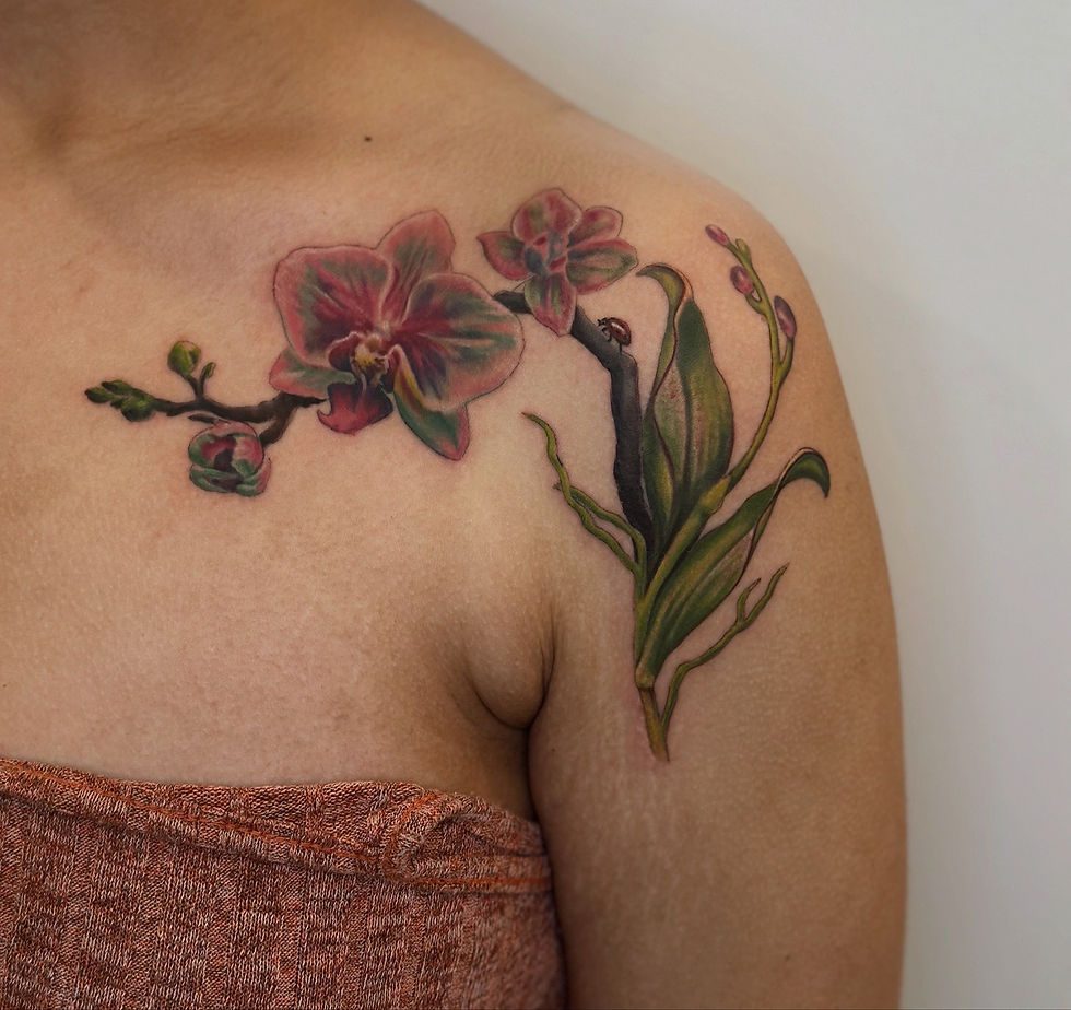 DDCA6713-5632-4078-8FD7-1DBE082ED73F_edited