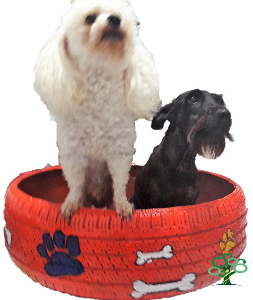 Miniatura: Cama p/mascota con llantas con freno