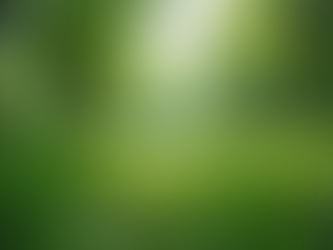 The Benefits of Adopting a Sustainable Living Lifestyle
