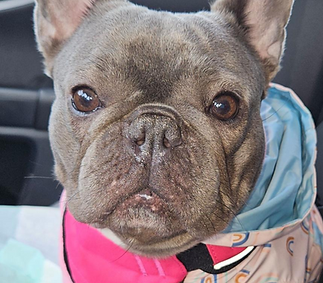 Screenshot 2026-03-03 202942.png