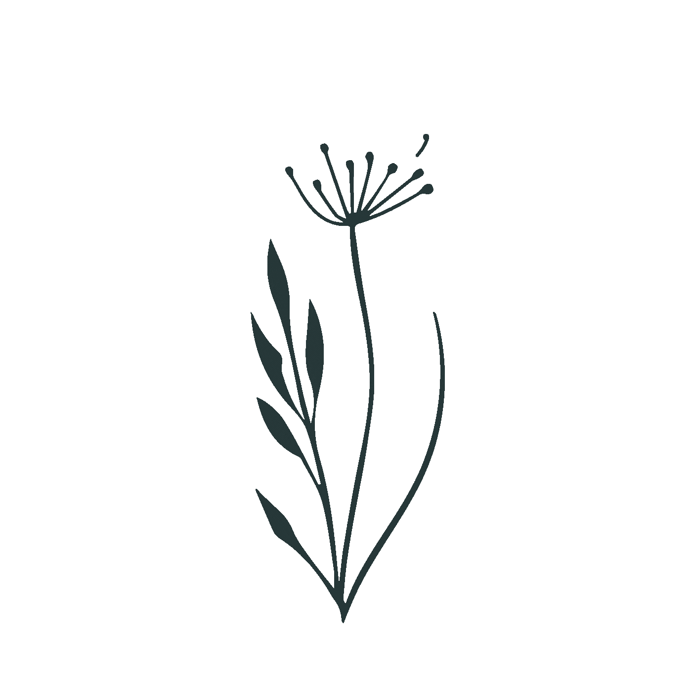 Untitled design (6).gif