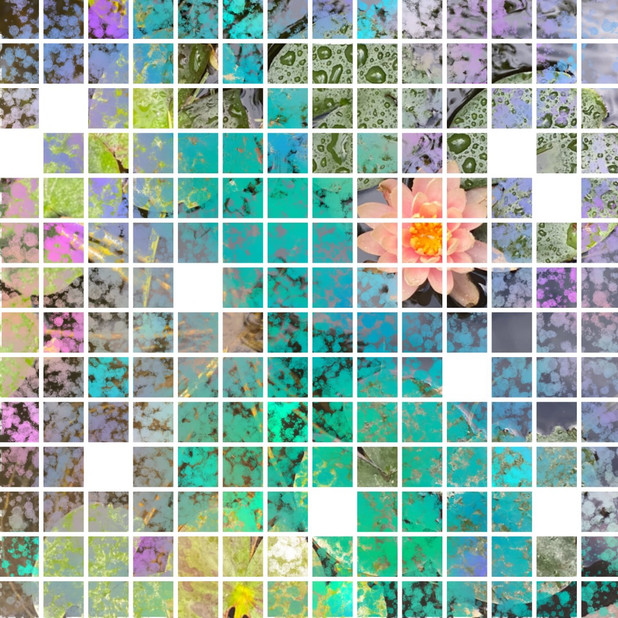 Lotus Grid