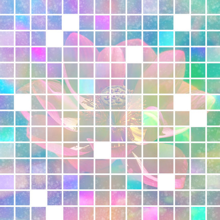 Lotus Grid