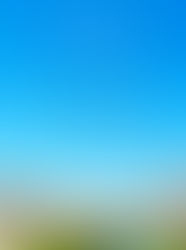 5月から全商品値上げ、および4月以降の出店スケジュールのお知らせ。