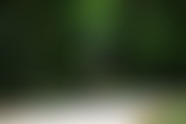 Ultra X Sri Lanka 2019 Race Report