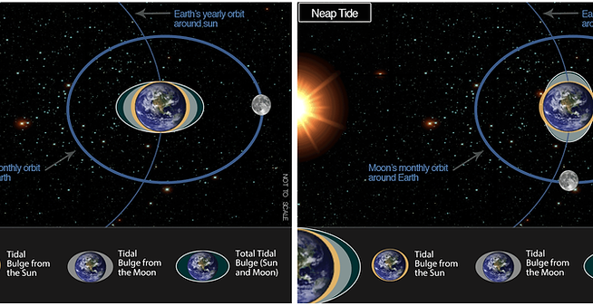 Spring and Neap Tides.tiff