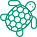 turtle (1).png