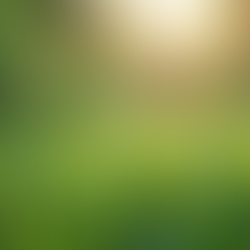 Simple Ways to Prioritize Your Well-Being Every Day