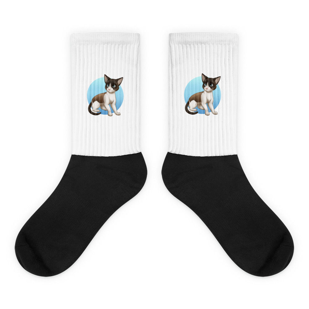 Winter Socks Circle Background