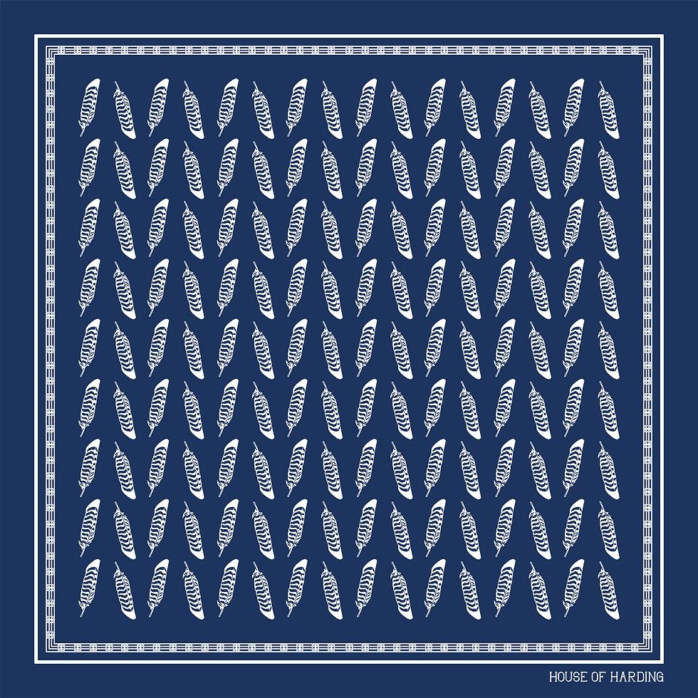 Thumbnail: Freedom Feather Cotton Bandana