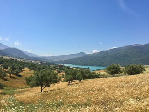 IMG_9865.jpeg