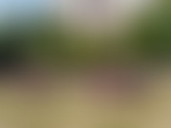 Коллективы Дома творчества поздравляют с 1 сентября