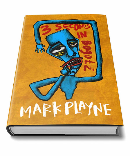 230105-LR - hardback mockup.jpg