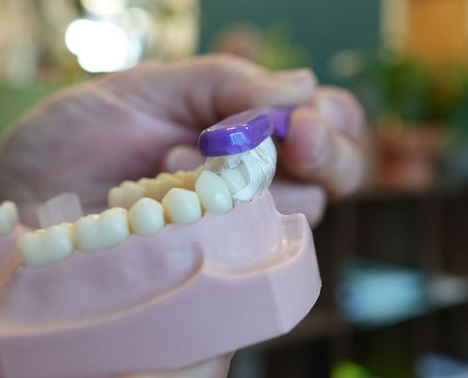 collis curve toothbrush on dummy mouth