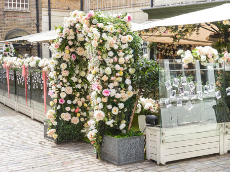 Hush Presents: The New Dolce Vita in partnership with Disaronno