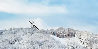 The Official Mpls Ski Jumping Event
