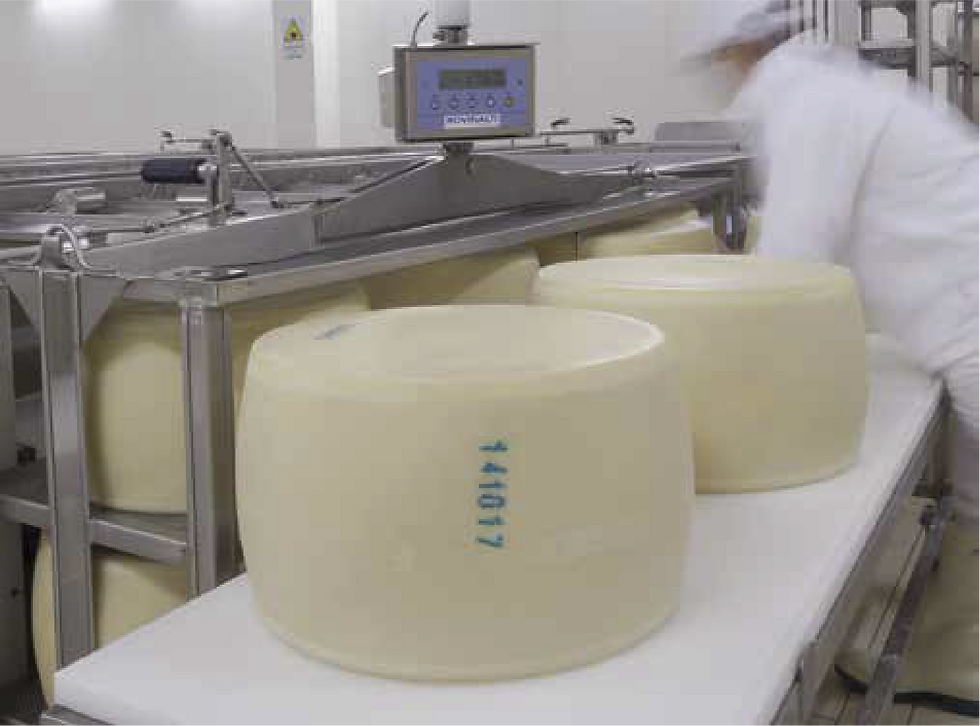 Miniature : Parmesan Poggioli