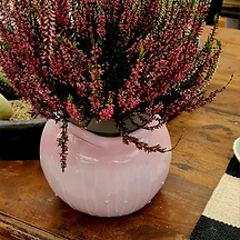 stilkar-studio-keramik-blomavasi-bleikur-bleik-blom.jpg