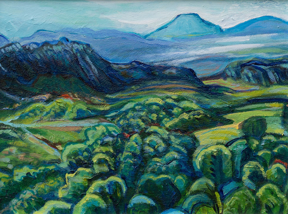 The Torridons from the Sithean, Aird, Badachro