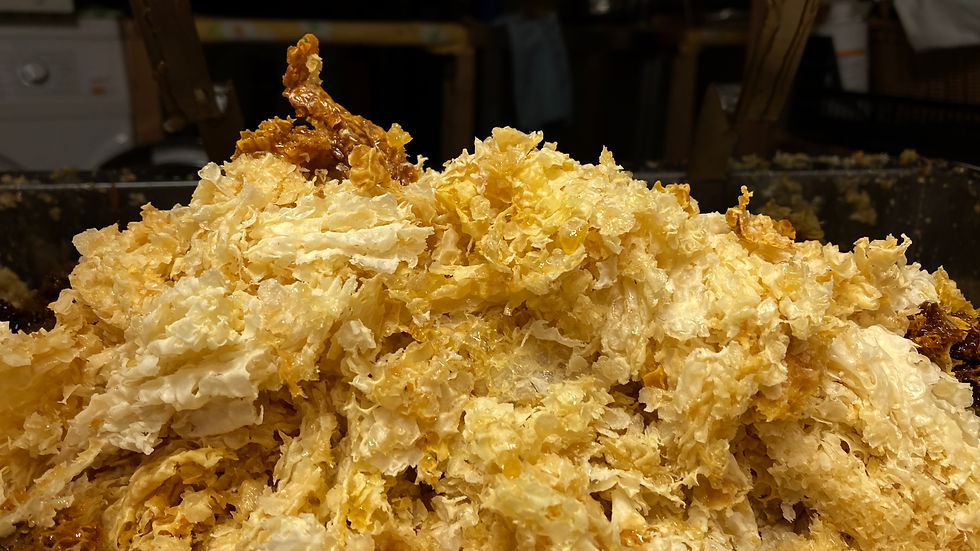 Bees wax