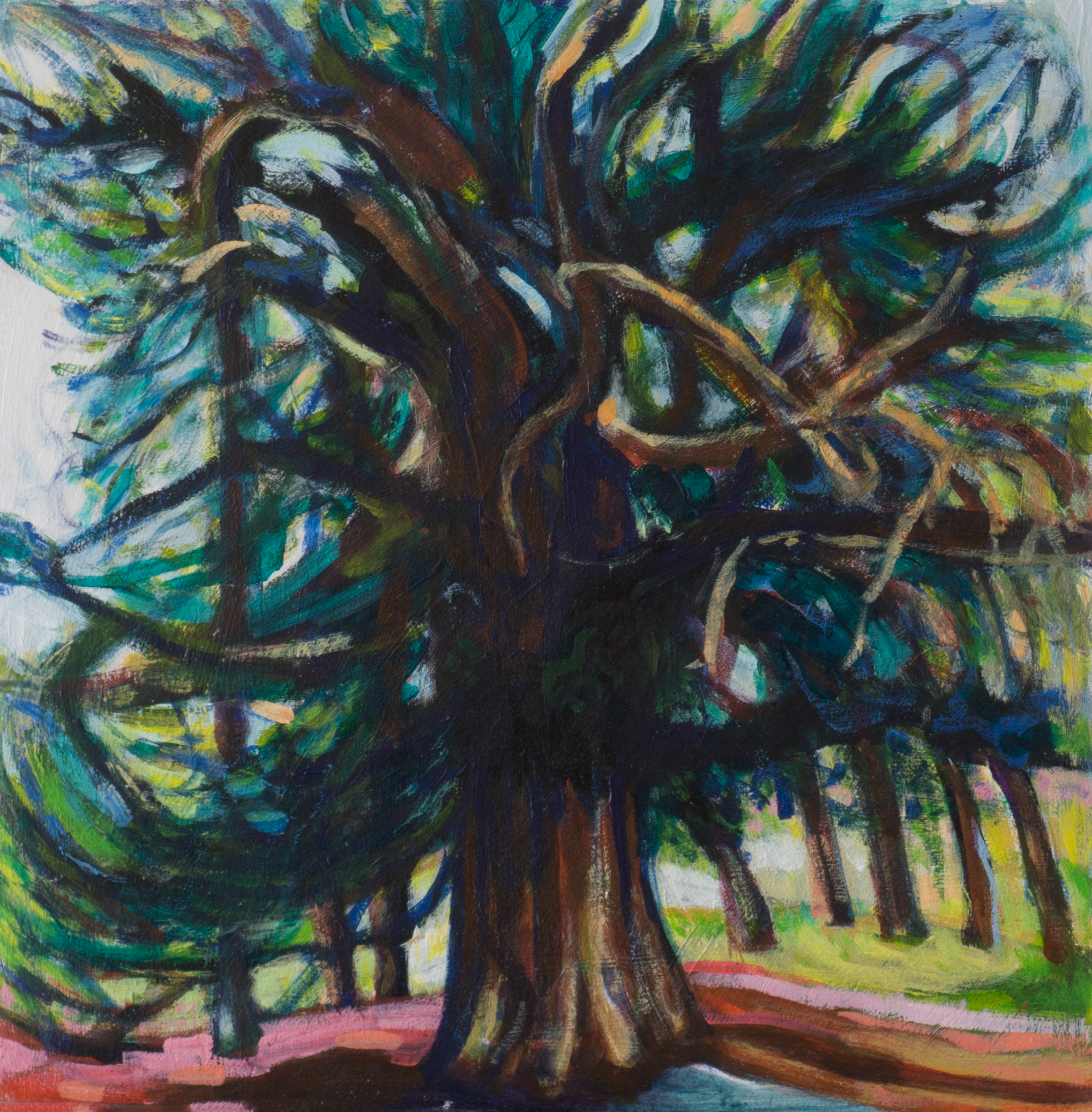 Dryburgh Abbey Yew