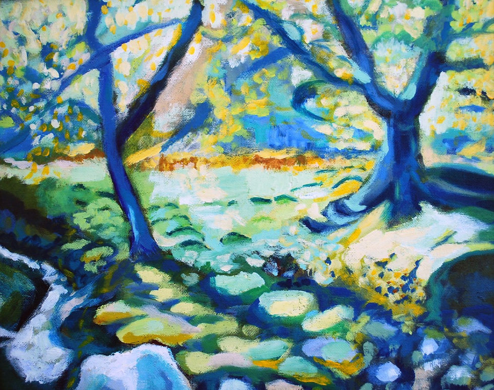 Shieldaig Woods near Badachro