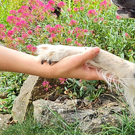 20230723_115439_edited.jpg