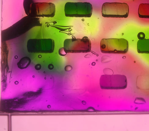 Agarose stamp (Fucsia)