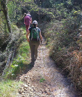 WhatsApp Image 2023-04-10 at 20.33.03.jpeg