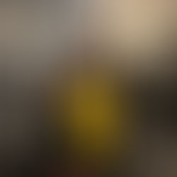 Van Frodo tot vaste kracht. Trots op Tristen! 💪