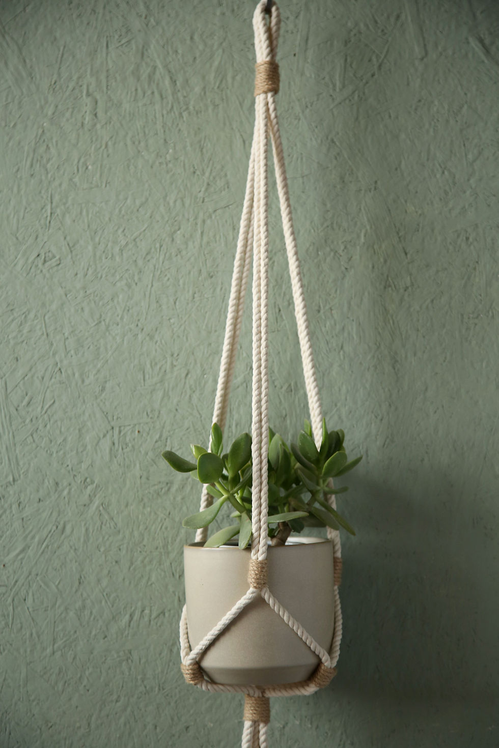 תמונה ממוזערת: מתלה עציץ טבעי מנימליסטי