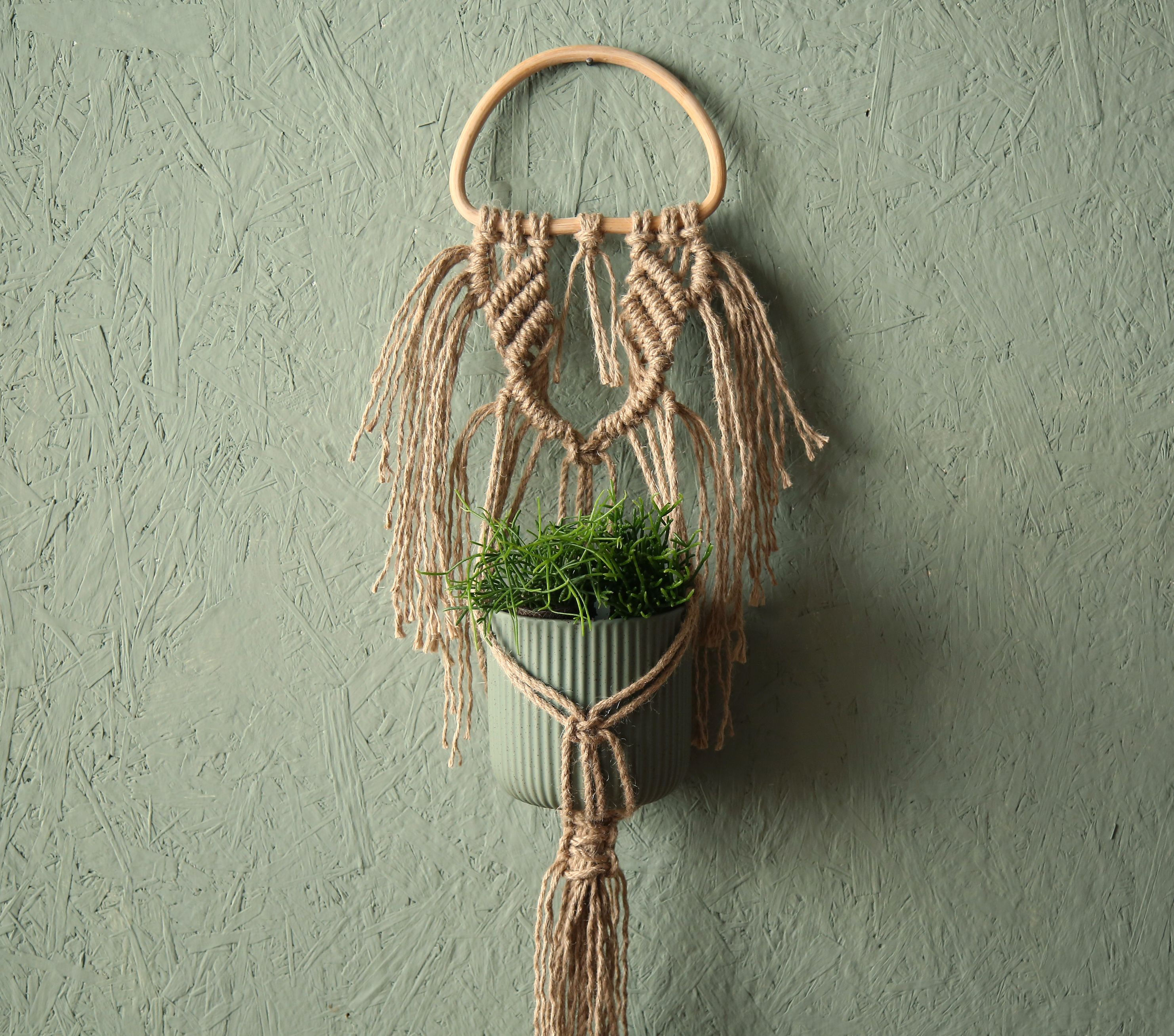 מתלה עציץ על קיר