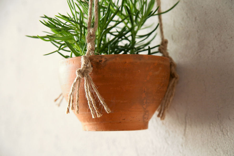 תמונה ממוזערת: מתלה עציץ מחבל יוטה כולל עציץ טרקוטה גדול