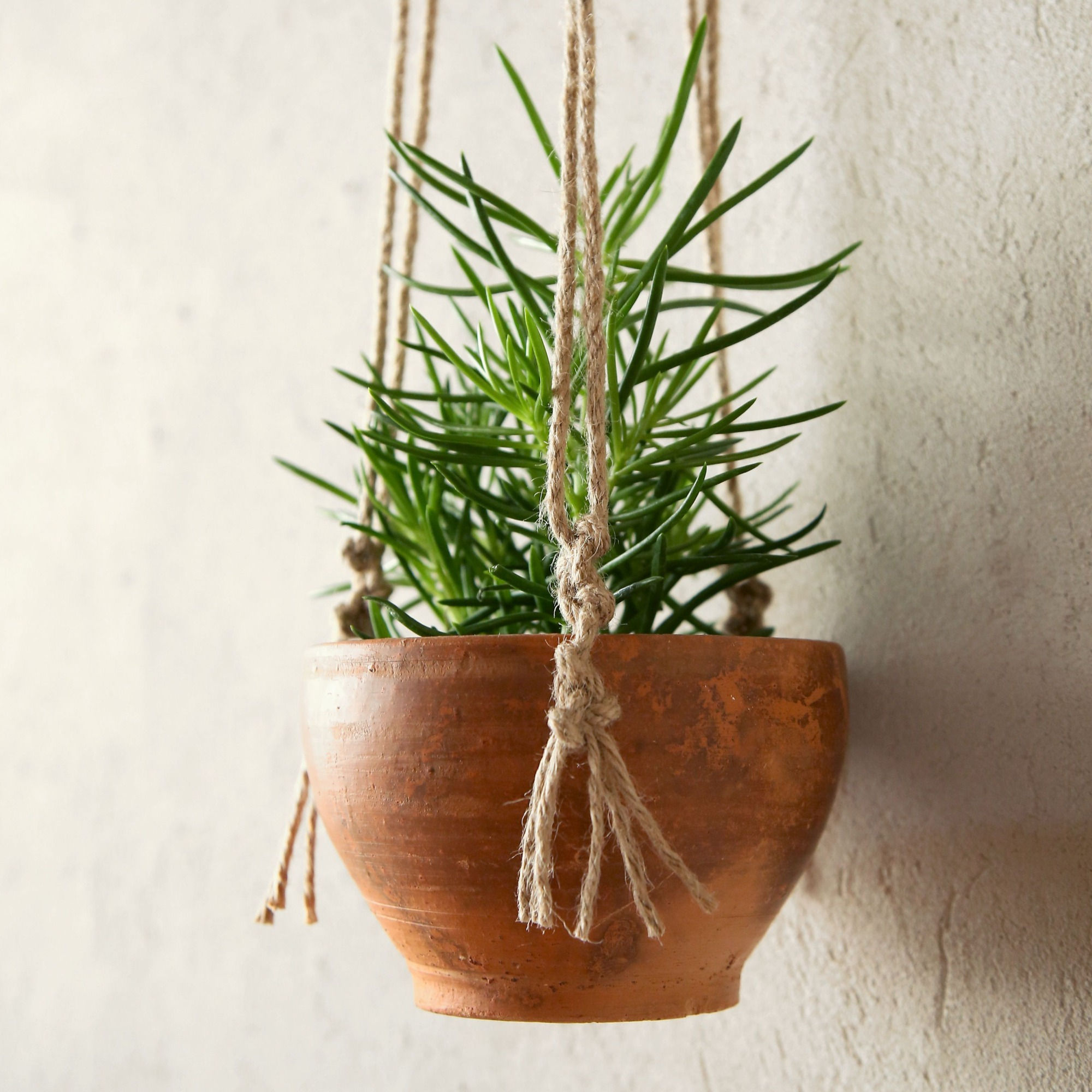 מתלה עציץ מחבל יוטה כולל עציץ טרקוטה גדול