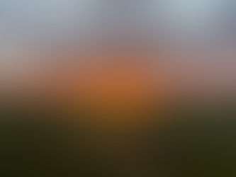 Übergangsstimmung Natur