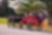 Horse Carriage