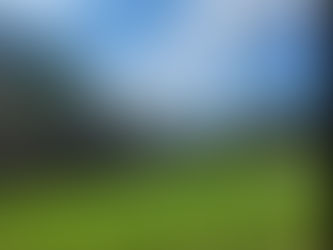 선의비전센터 테라스는 잔디작업 중 ^^