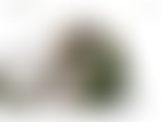 선의비전센터 조경이야기.