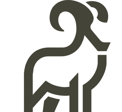 ram.png