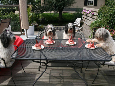 Noeska jarig, 16 jaar!!!