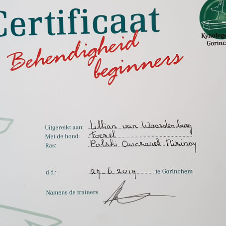 Certificaat Behendigheid beginners