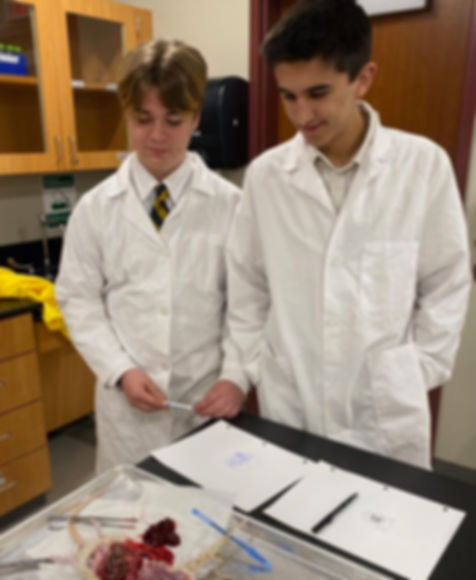 Dissection lab 2.jpg