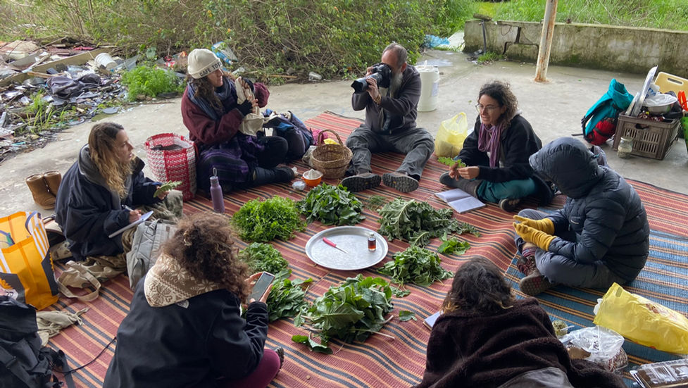 מעגל סיום ליקוט של שפע צמחי מאכל מן השפע של הבר טרם הבישור שלהם