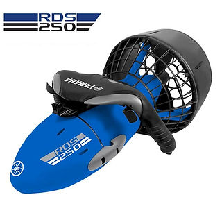 scooter-yamaha-rds-250