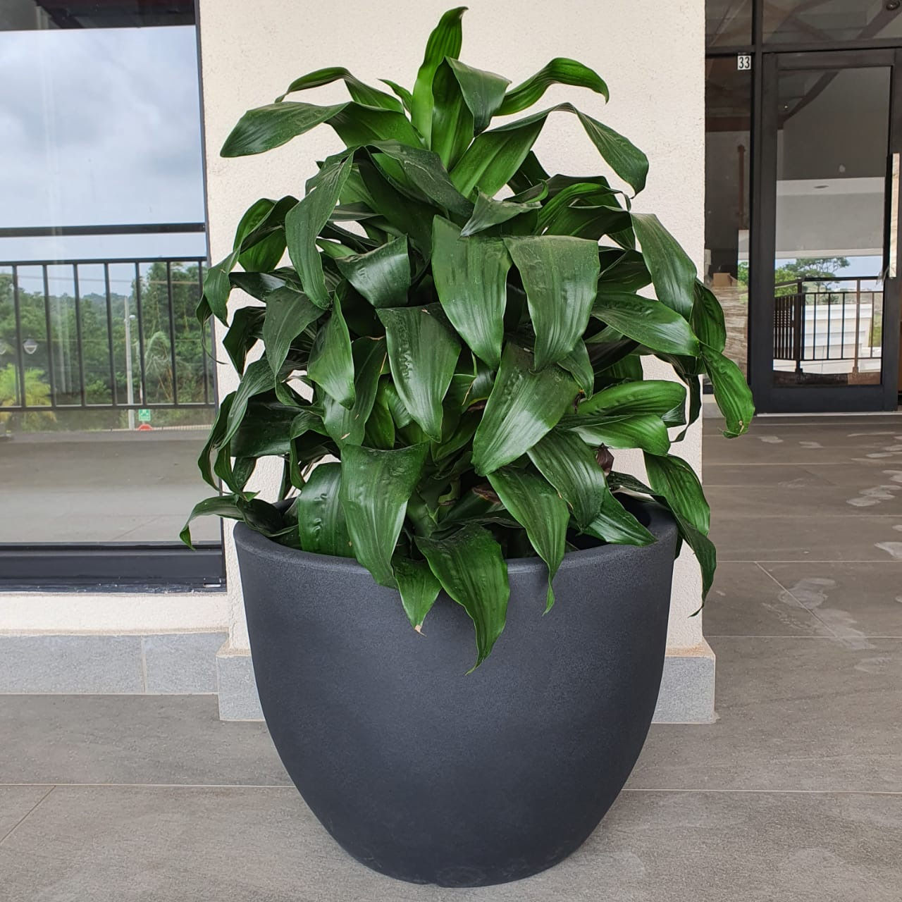 Maceta Orione 50x37 cm