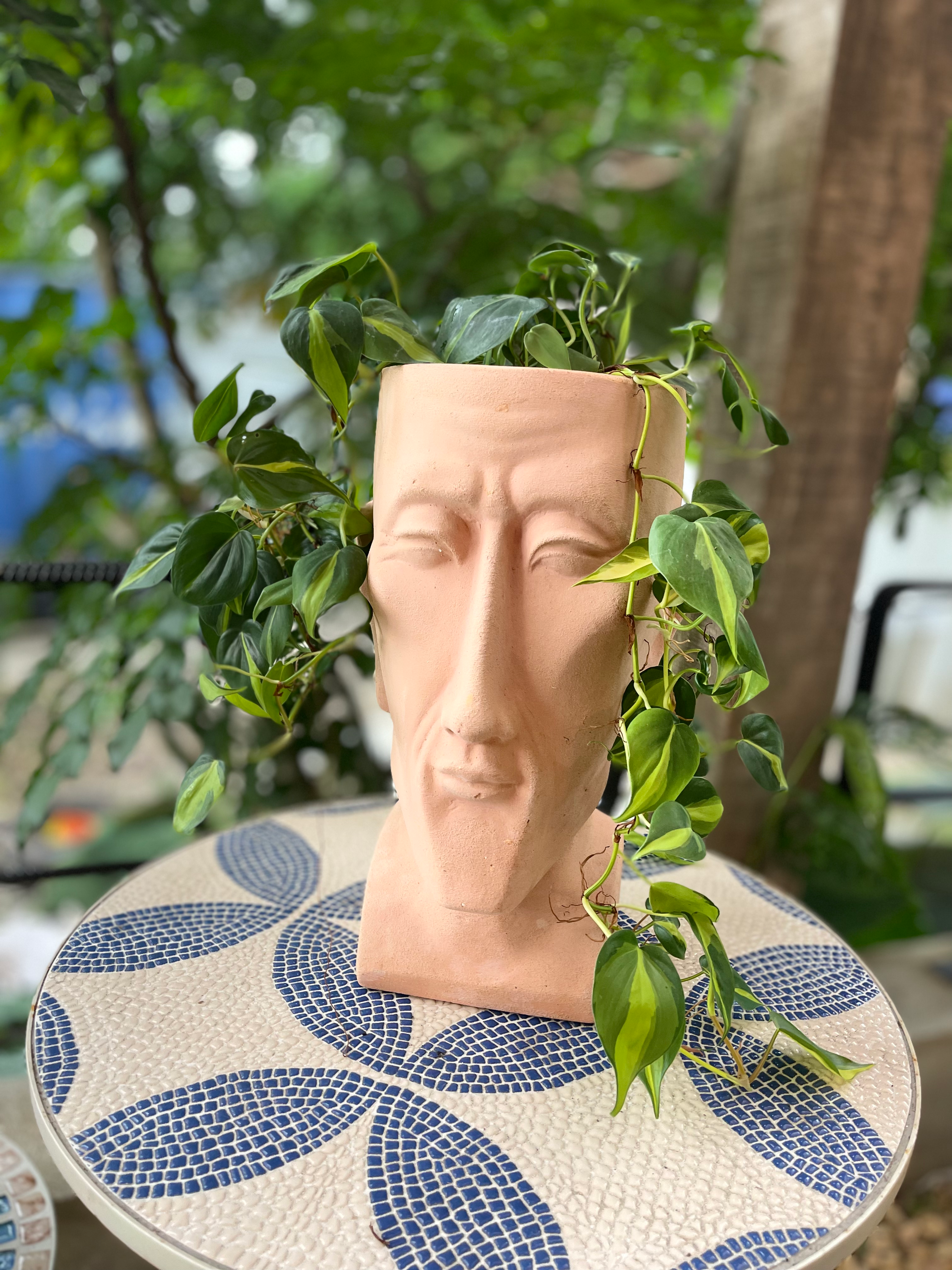 Maceta para jardín con diseño cabeza