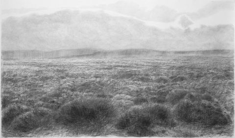 charcoal drawing of the Karoo