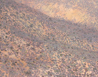 Oil painting of arid Karoo slopes